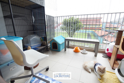 Blk 348D Adora Green (Yishun), HDB 3 Rooms #178345962